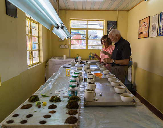 And had a formal tea tasting experience