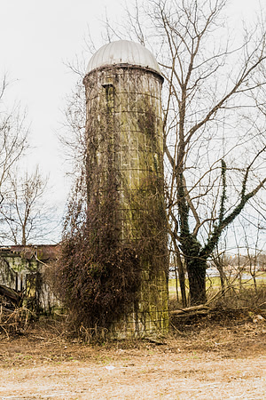 Overgrown Silo
