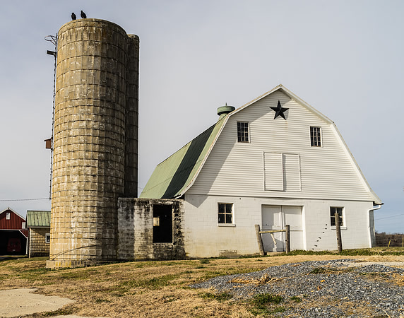 Concrete Stave Silo